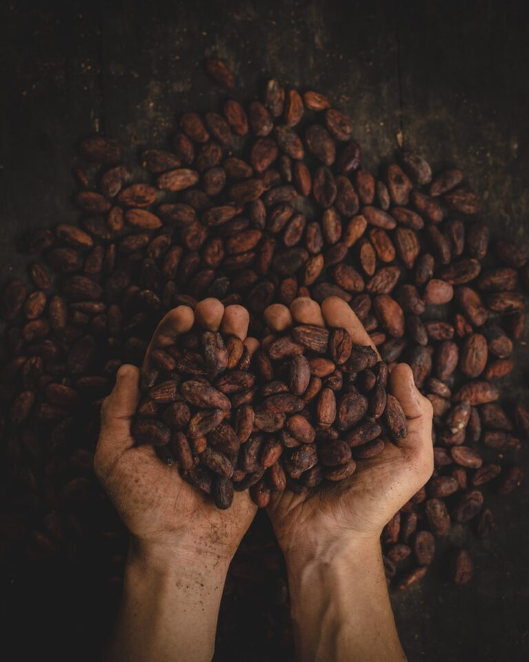 Ist Kakao gesund?